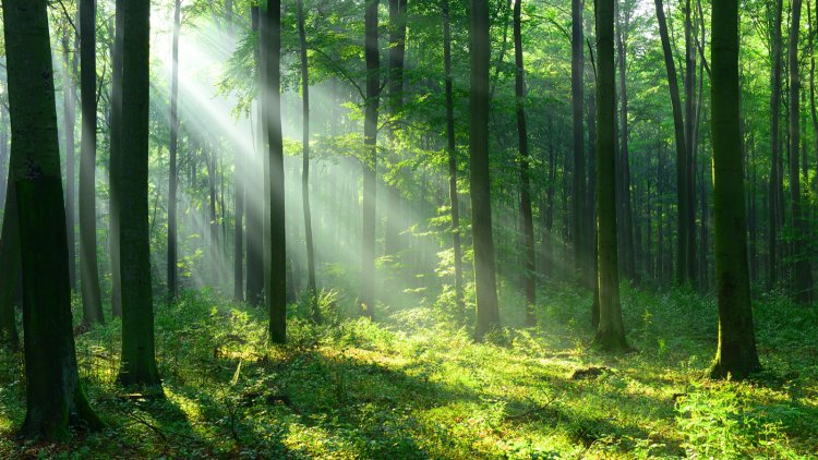 Comment simplifier sa vie sans tout foutre en l’air.