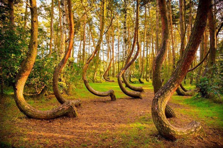 10 Most Mysterious Places Scientists Still Can’t Explain