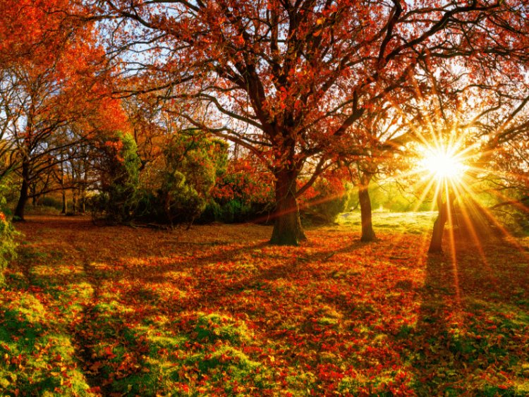 An Ovation to the Four Seasons of My Country, Canada